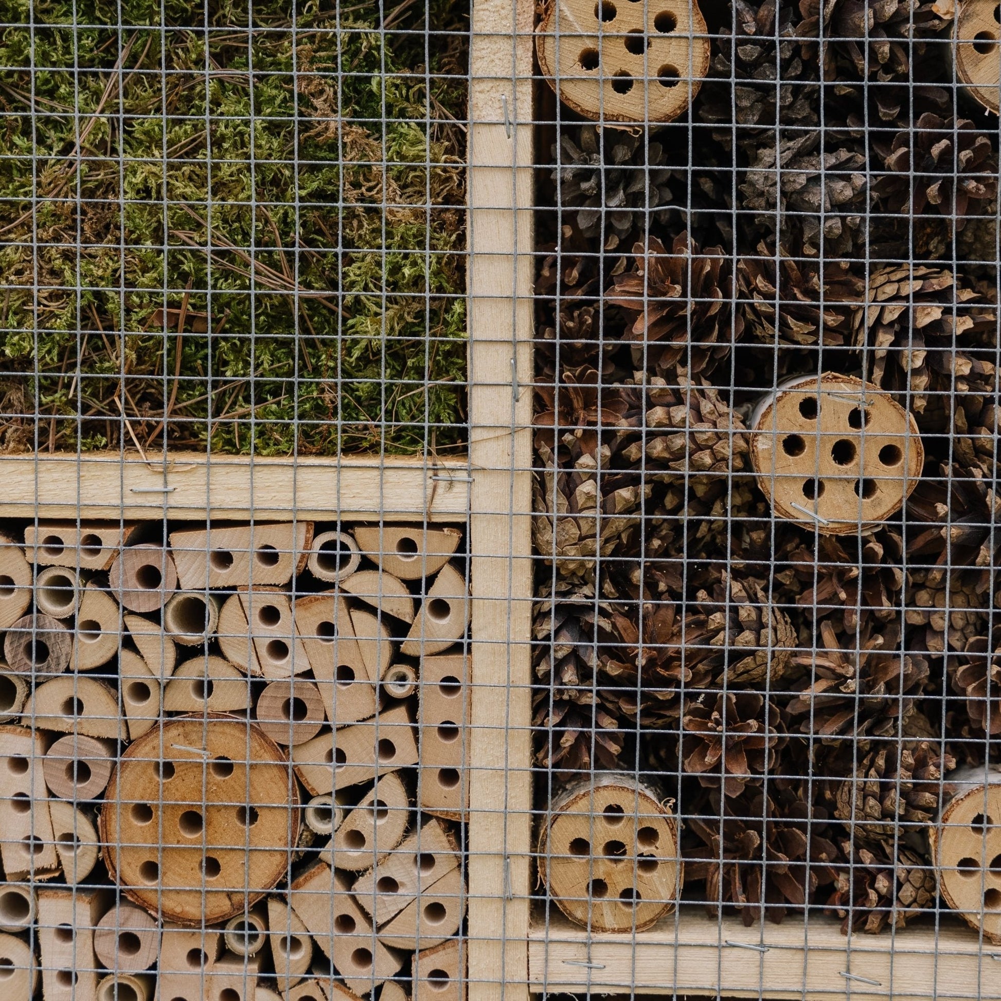 Insekthotell, stor, L: 12 cm B: 50 cm H: 38 cm