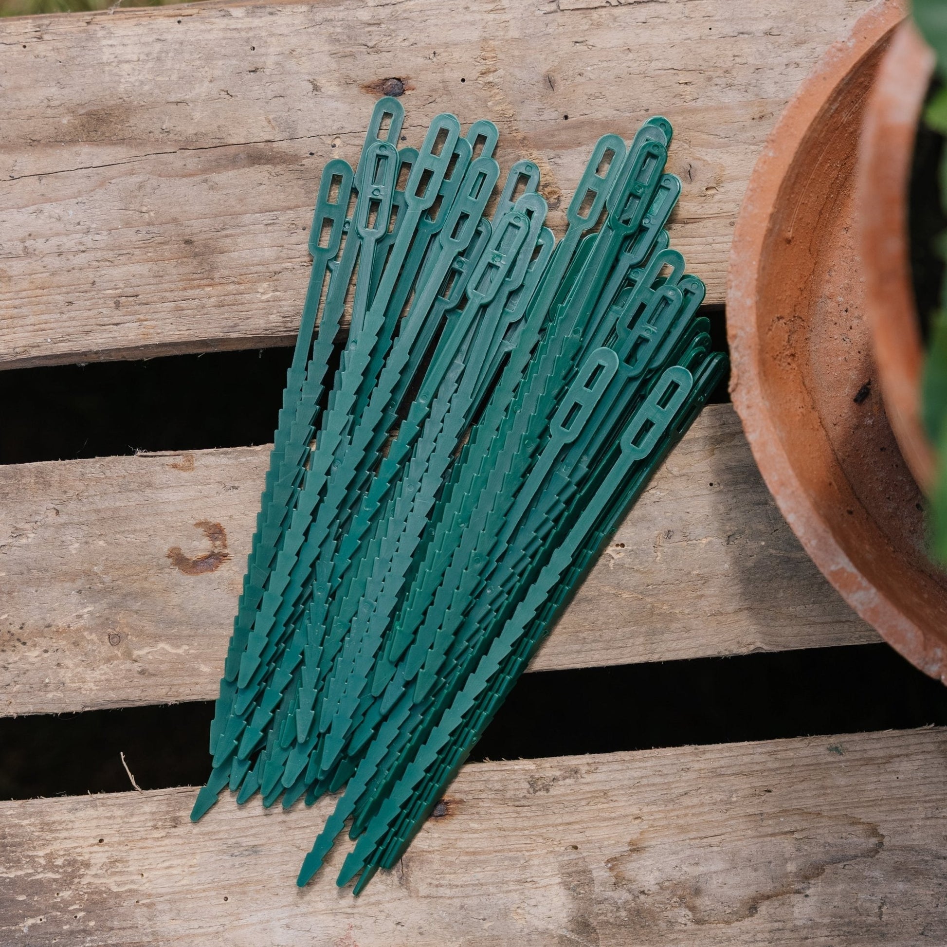 Justerbare plantebånd, 50 stk.