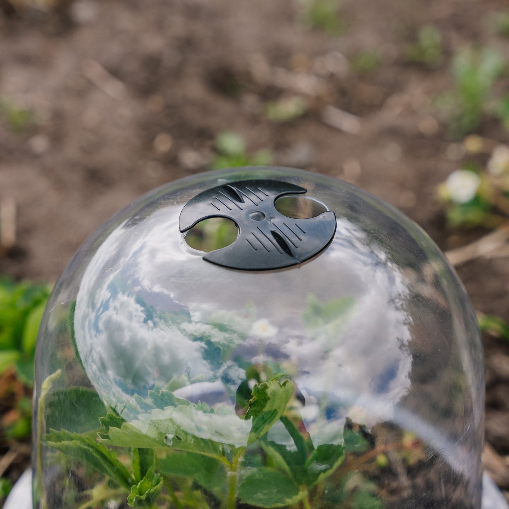 Klokkelokker, 3 stk.