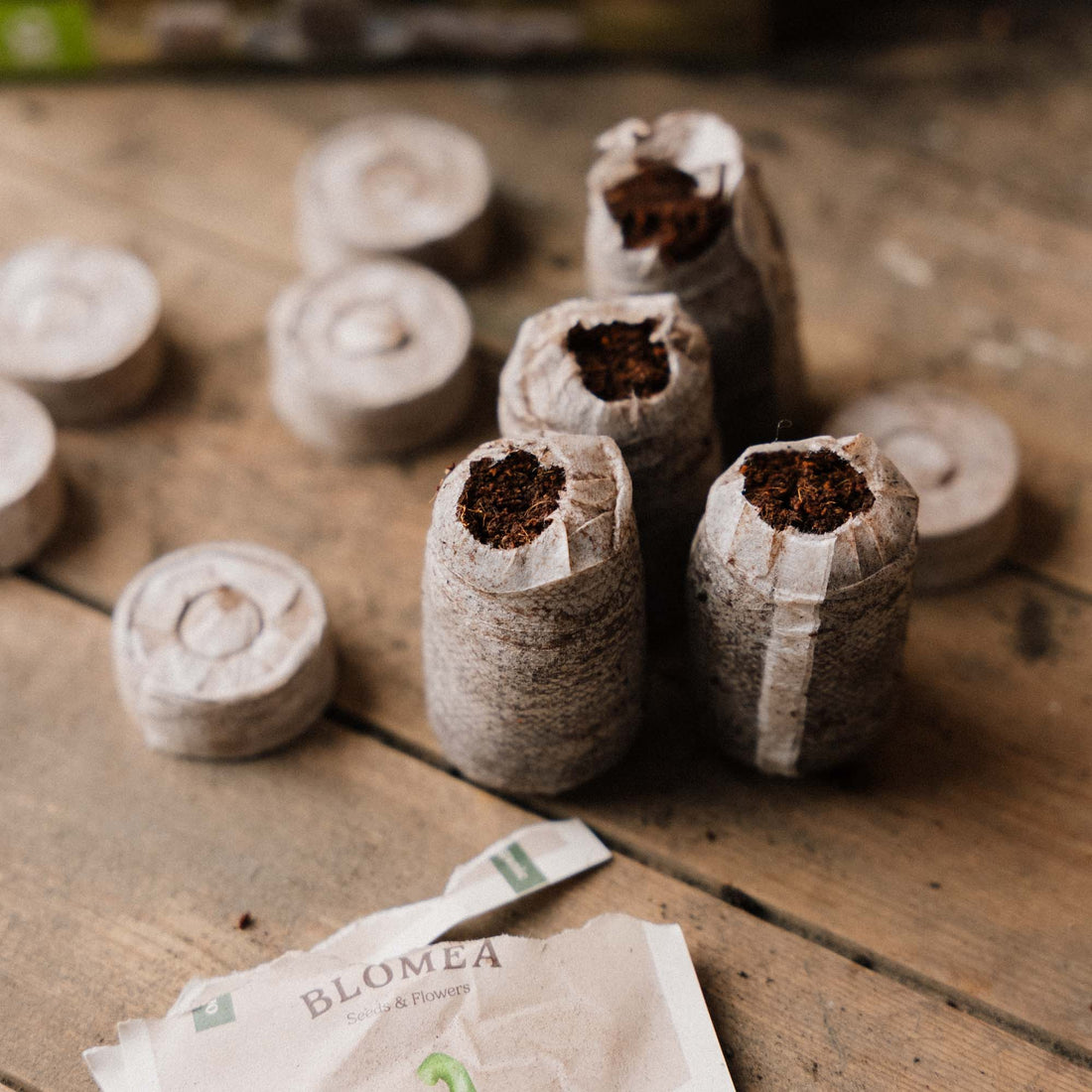 Kokosbriketter 35 mm – 50 stk