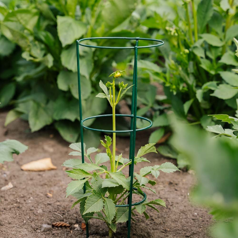 Konisk plantesupport, L: 18 cm B: 18 cm H: 48 cm