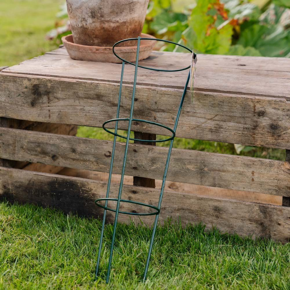 Konisk plantesupport, L: 18 cm B: 18 cm H: 48 cm