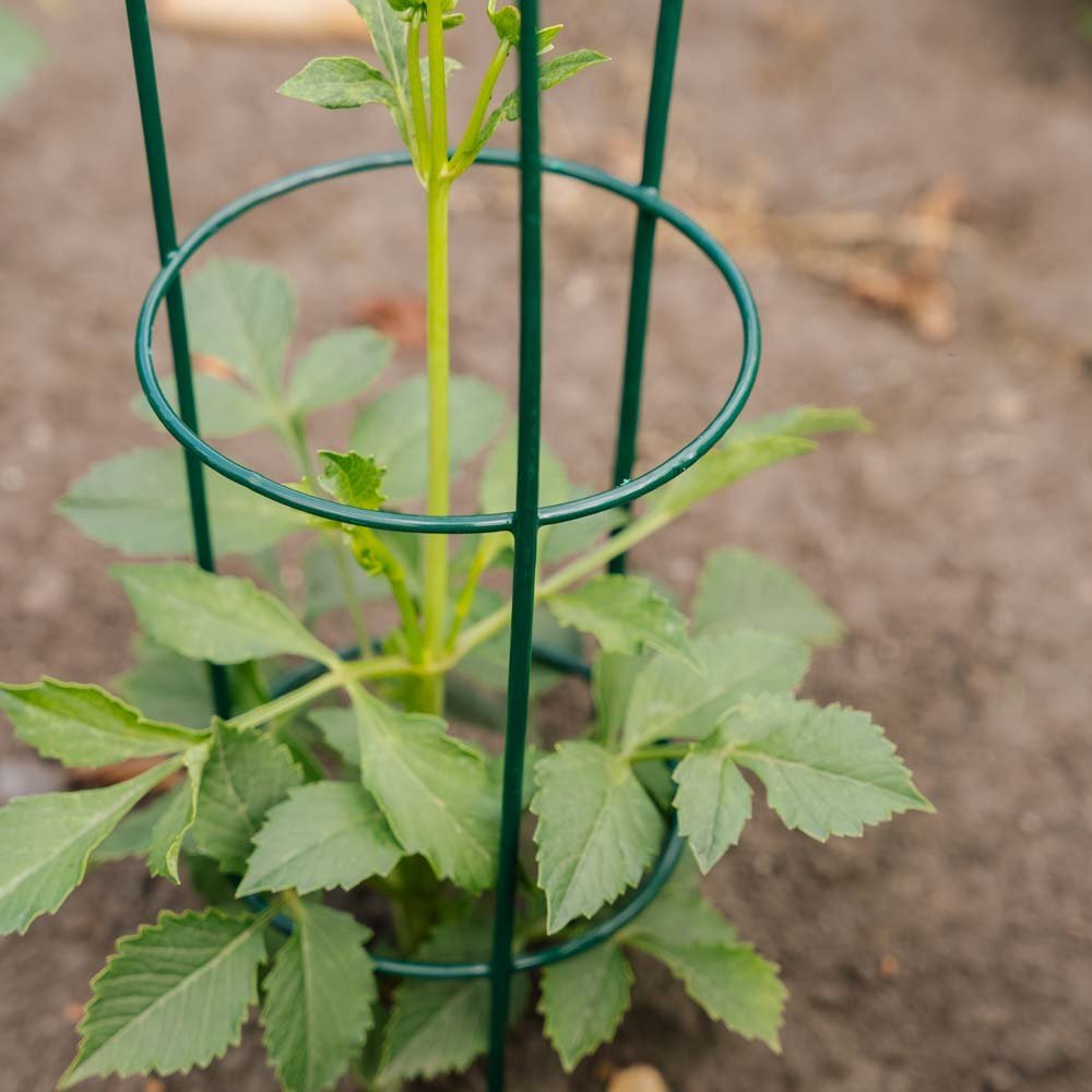 Konisk plantesupport, L: 18 cm B: 18 cm H: 48 cm