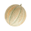 Grønnsaksfrø