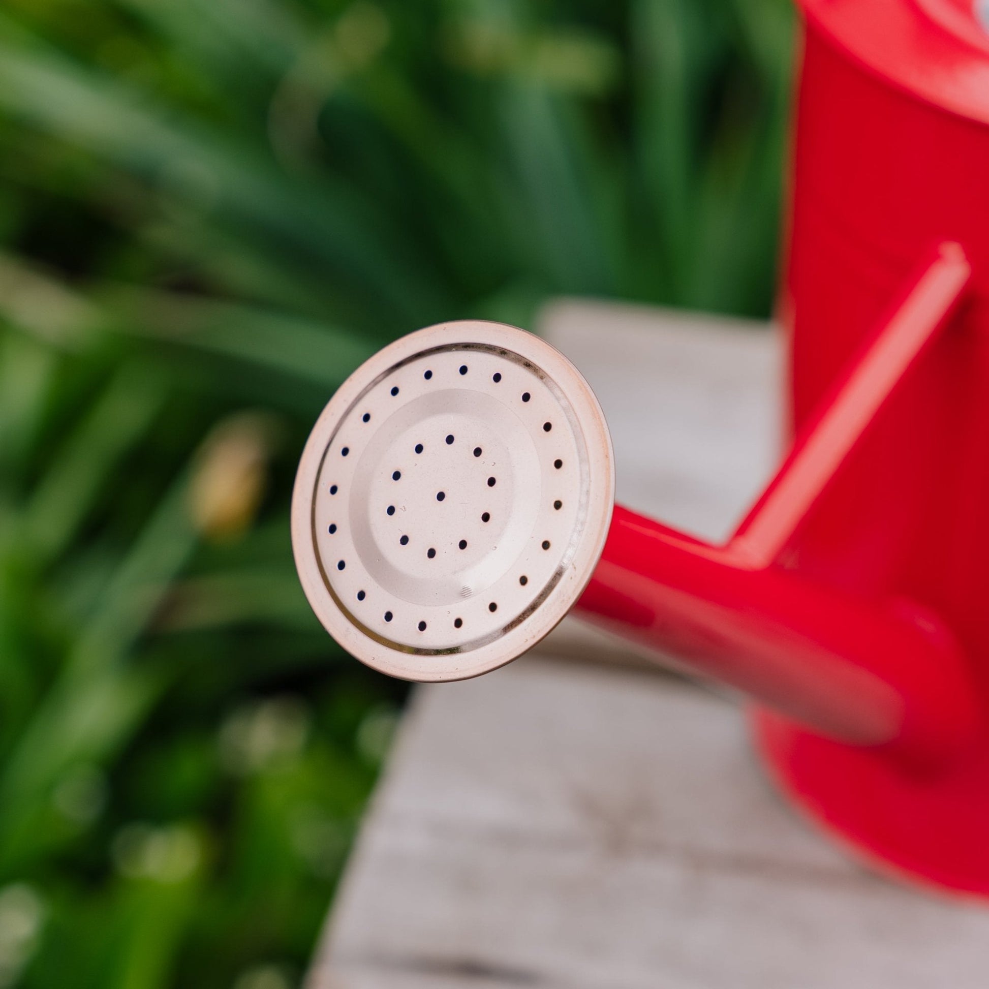 Metallvannkanne, 4,5 L, skarlagensrød