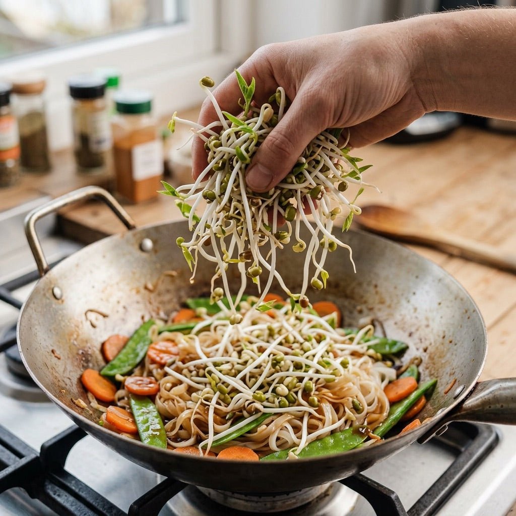 Bønnespirer mikrogrønt frø - 250 Økologiske Frø