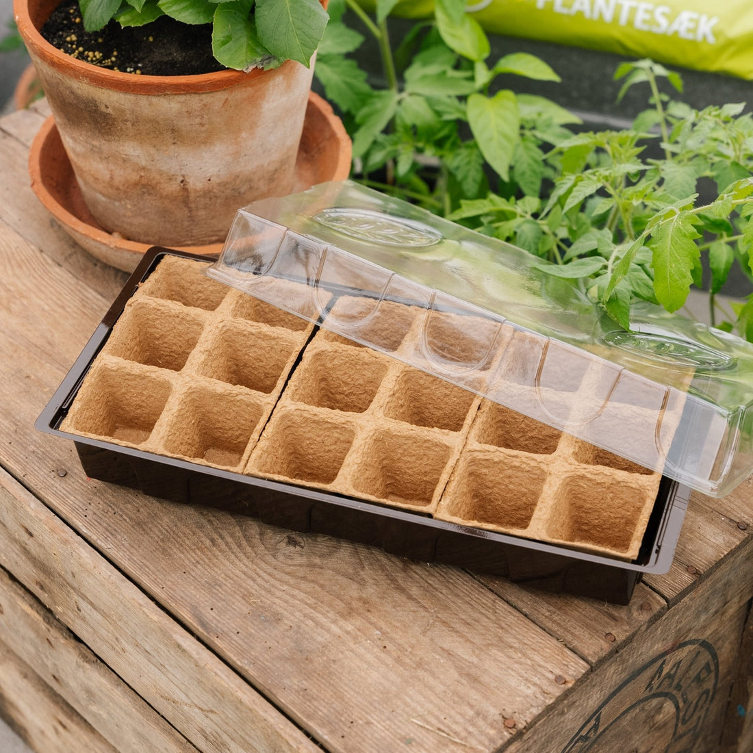 Minidrivhus, 18 stk.