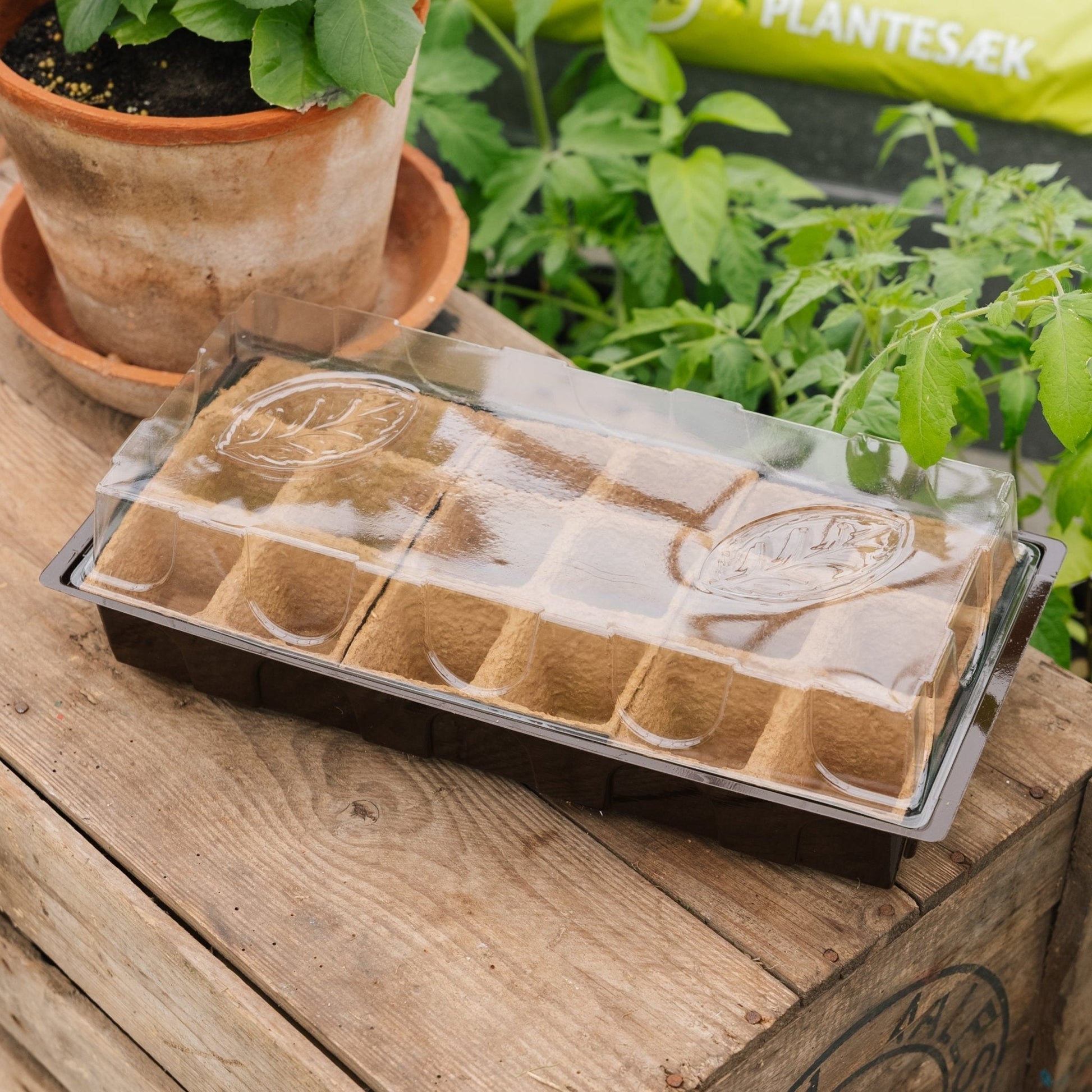 Minidrivhus, 18 stk.