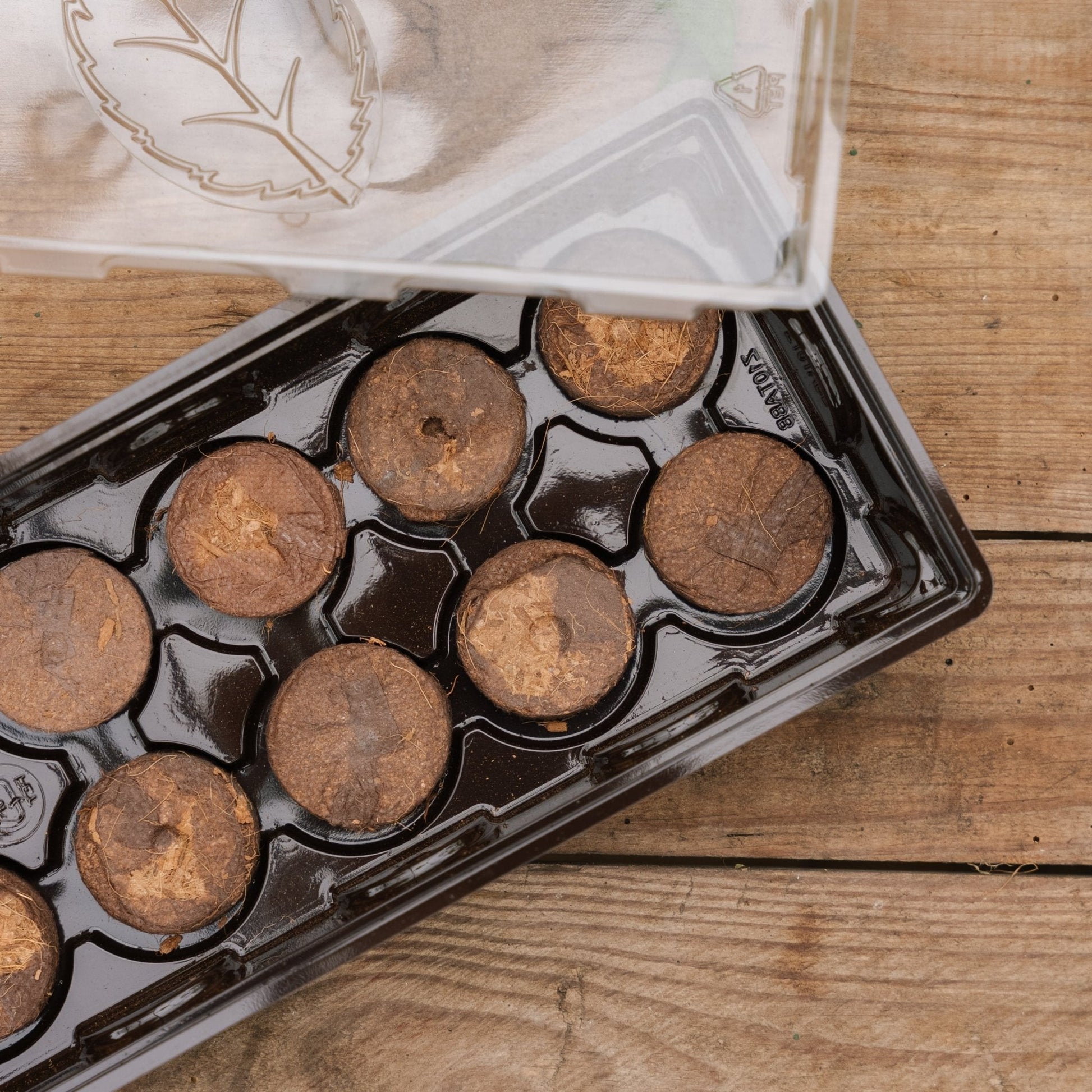 Minidrivhus med 10 kokosbriketter