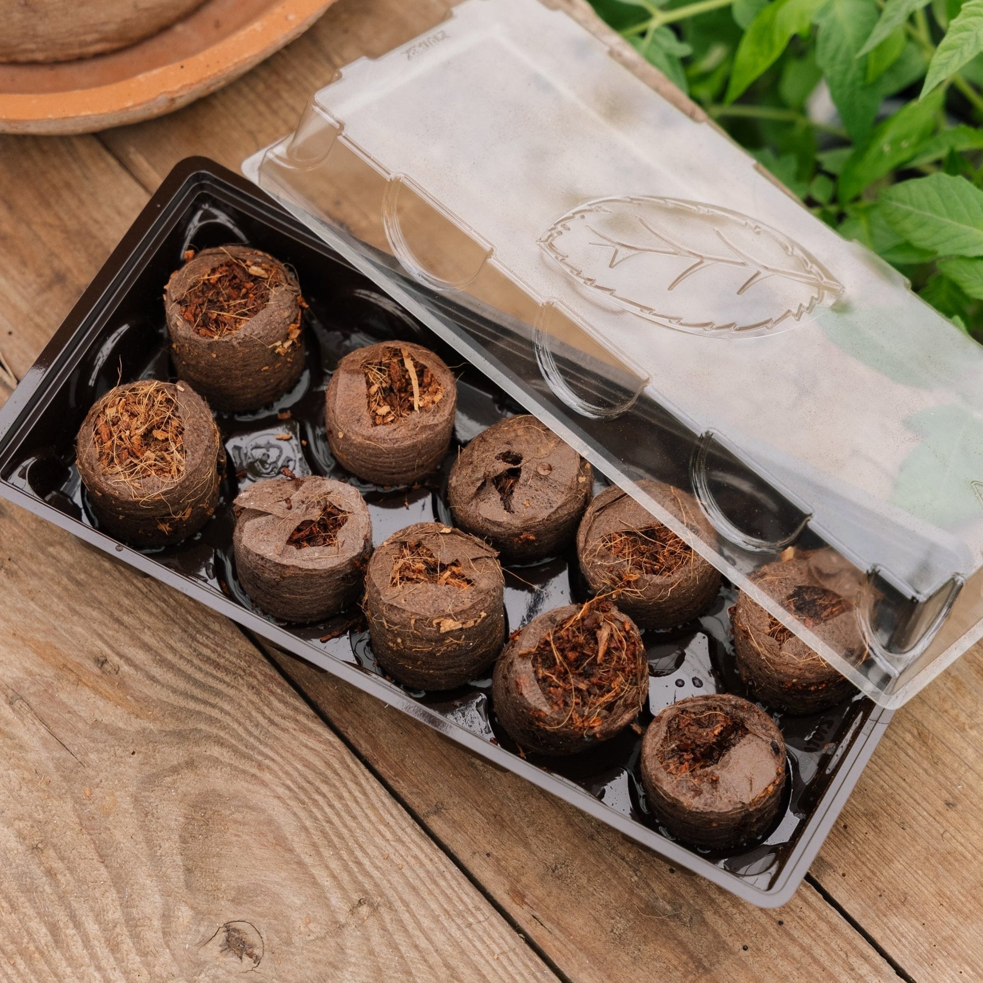 Minidrivhus med 10 kokosbriketter