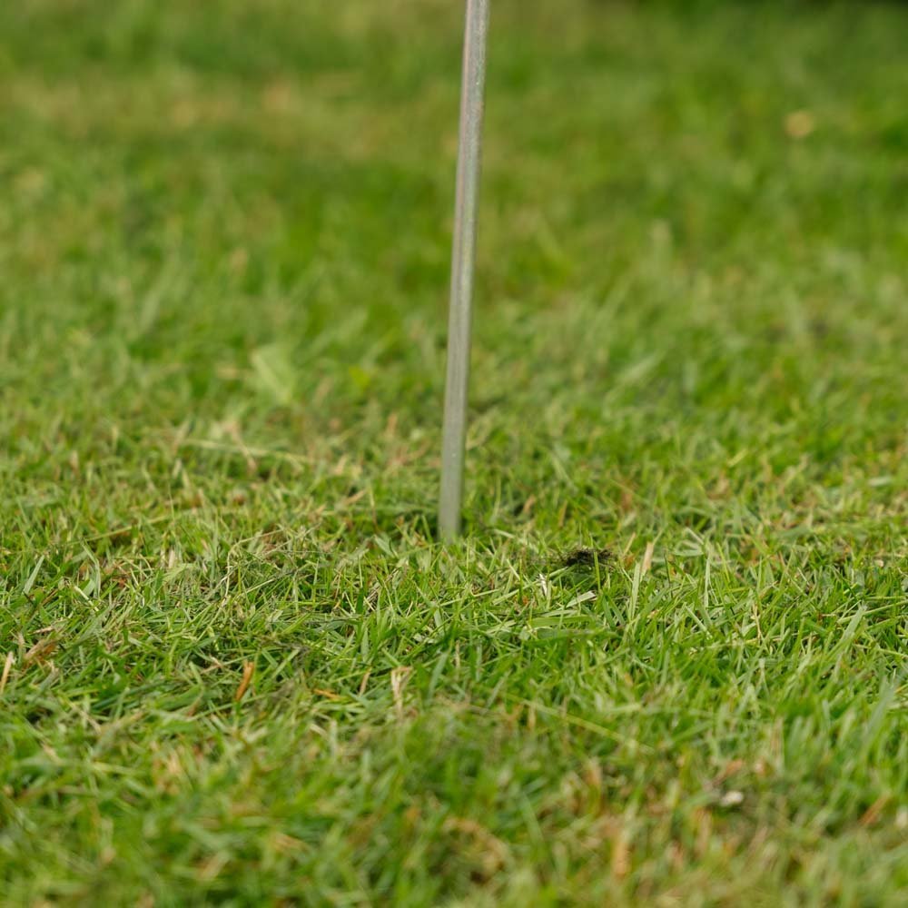 MuldvarpFri Løpegangsdetektor, 1 stk.