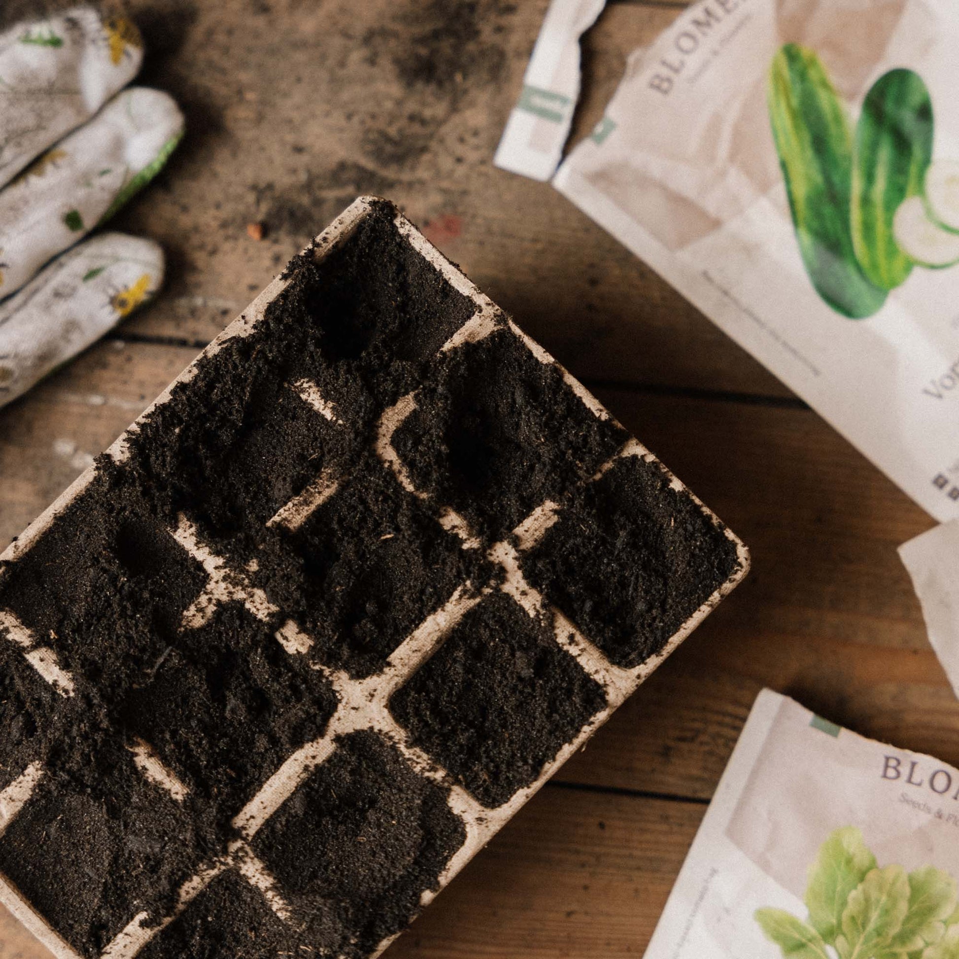 Nedbrytbare såbrett, små, 3 stk