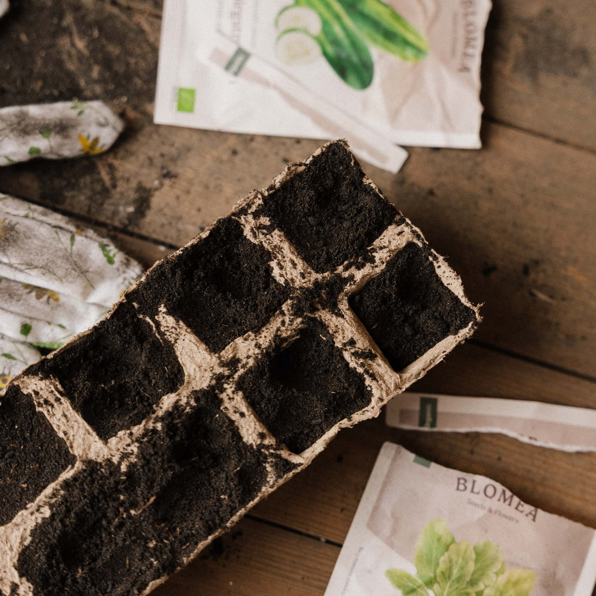 Nedbrytbare såbrett, store, 4 stk