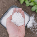Perlite, 5 L