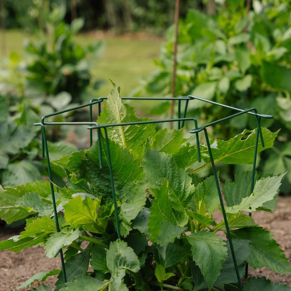 Plante støtte, 4 stk, H: 45cm x B: 17cm