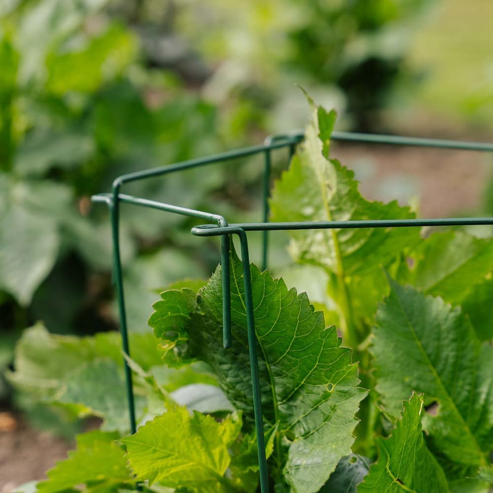 Plante støtte, 4 stk, H: 45cm x B: 17cm