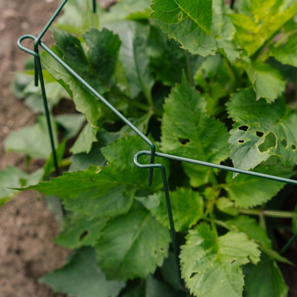 Plante støtte, 4 stk, H: 45cm x B: 17cm