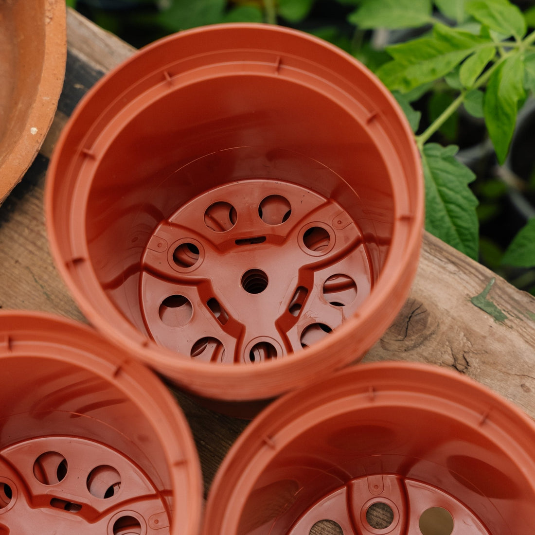 Plantepotter 13 cm, 12 stk.