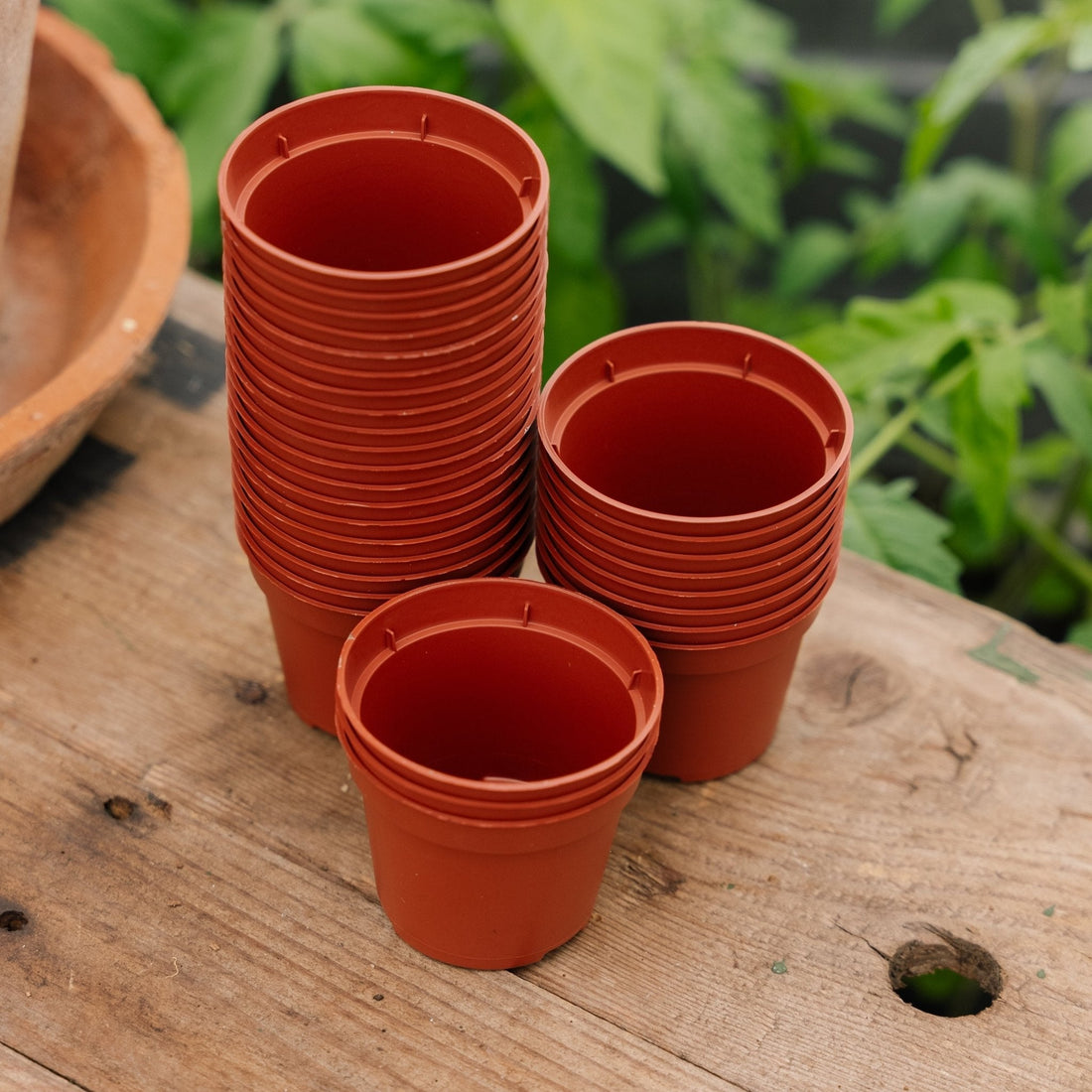 Plantepotter 6 cm, 30 stk.