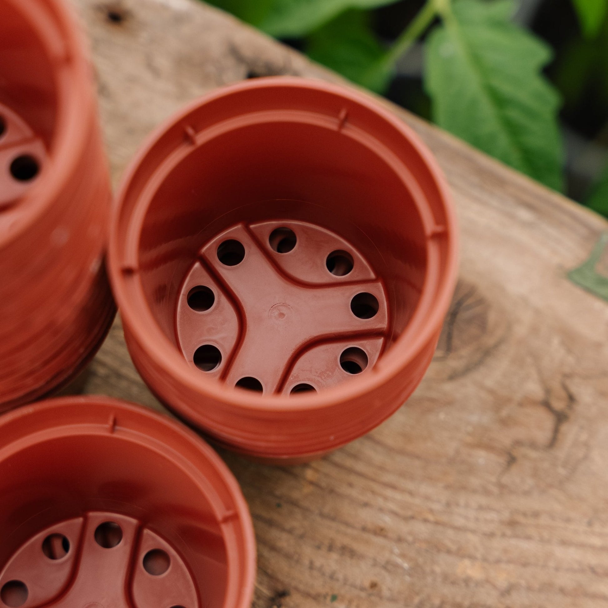 Plantepotter 6 cm, 30 stk.