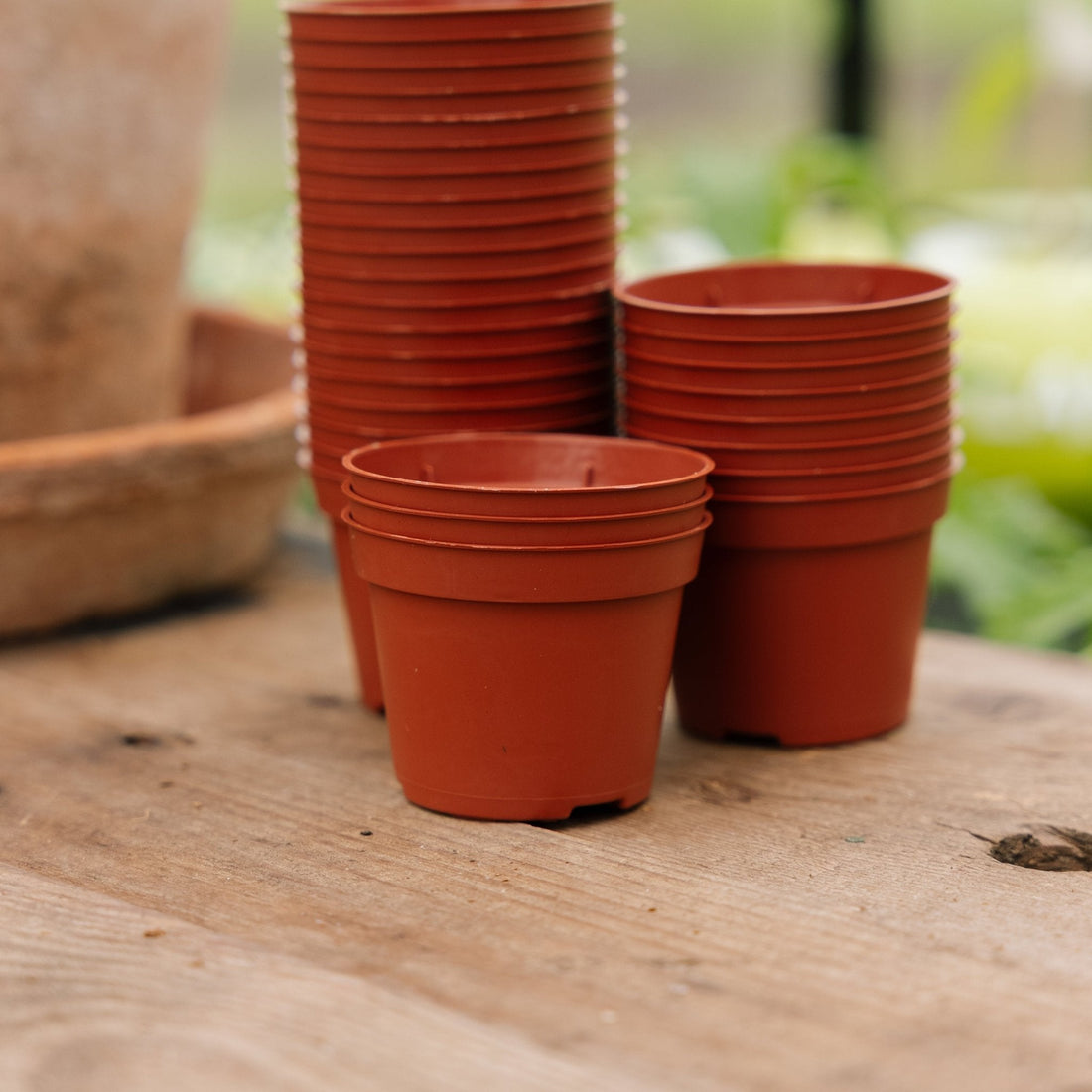 Plantepotter 6 cm, 30 stk.