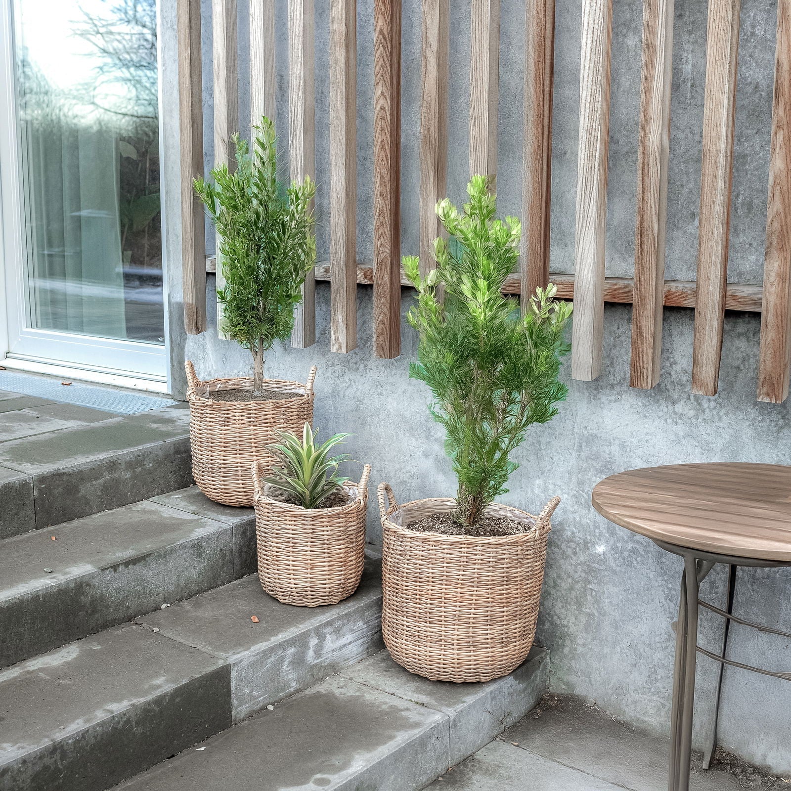 Rattan plantekurv i natur, 3 stk