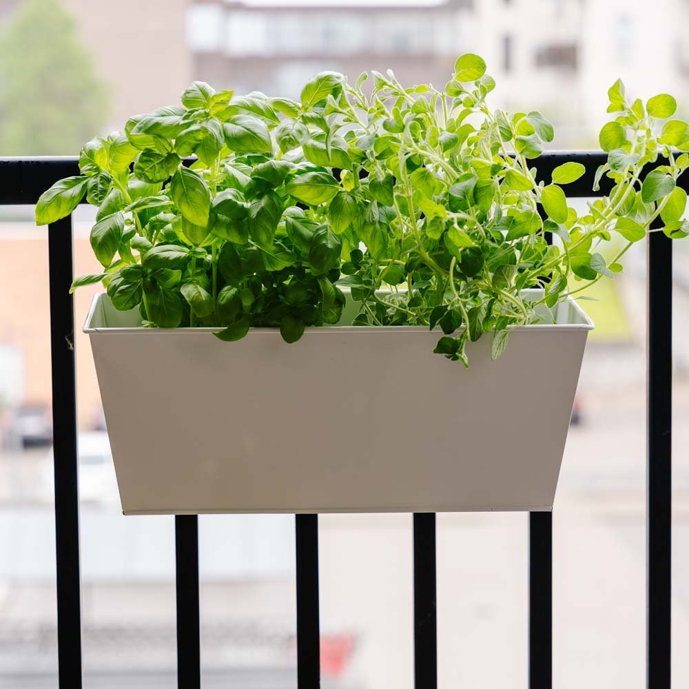 Rektangulær balkongkasse, L: 40 cm B: 16 cm H: 16 cm