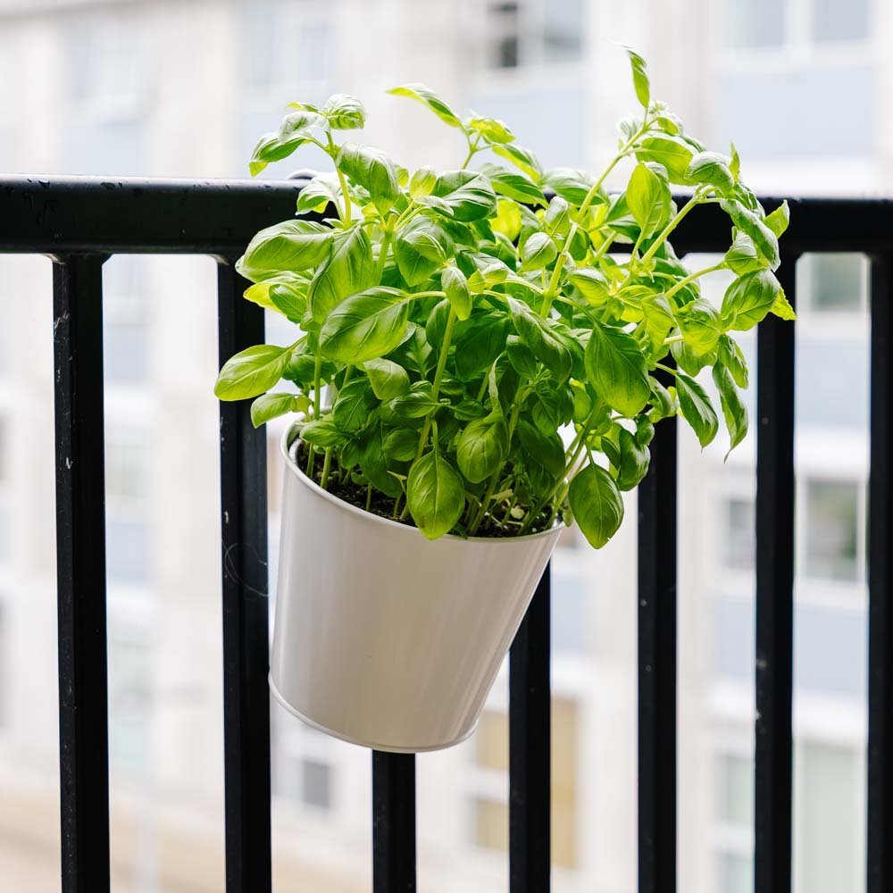 Rund balkongpotte, L: 24,5 cm B: 16,2 cm H: 25,2 cm