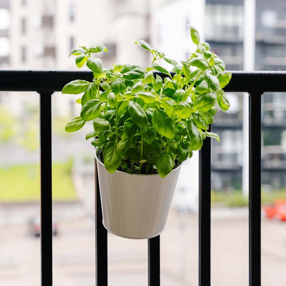 Rund balkongpotte, L: 24,5 cm B: 16,2 cm H: 25,2 cm