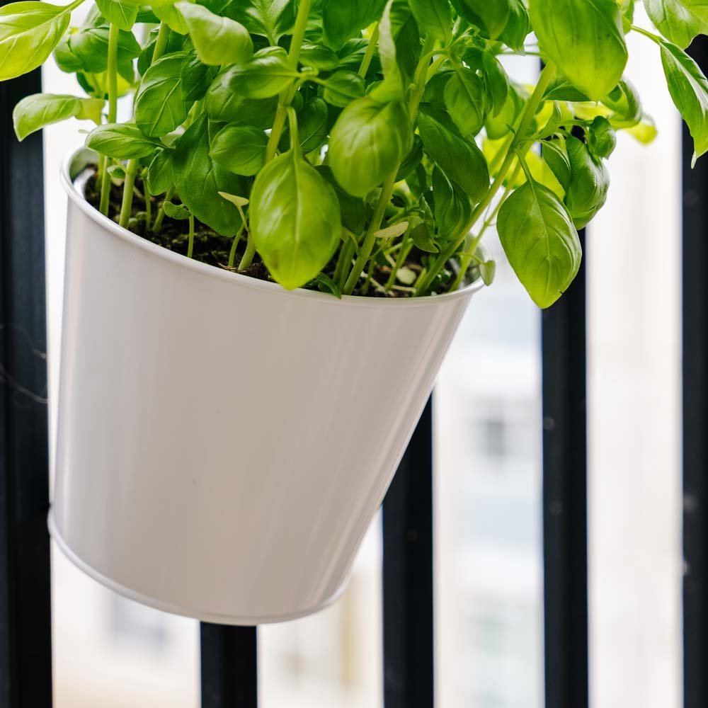 Rund balkongpotte, L: 24,5 cm B: 16,2 cm H: 25,2 cm