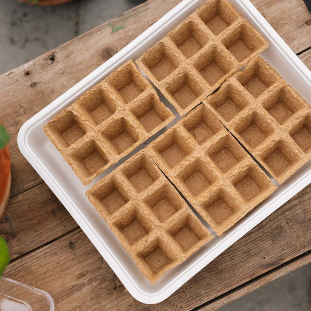 Såbakke m/30 Øko potter