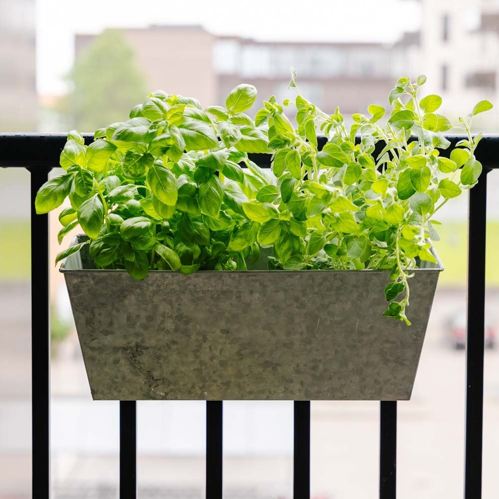 Sink altankrukke, L: 40 cm B: 16 cm H: 16 cm