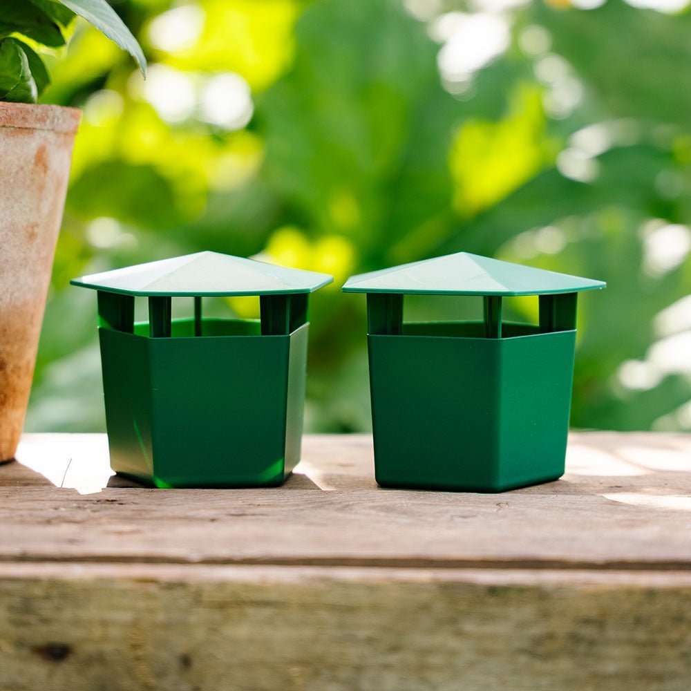 Sneglefelle, 2 pakning