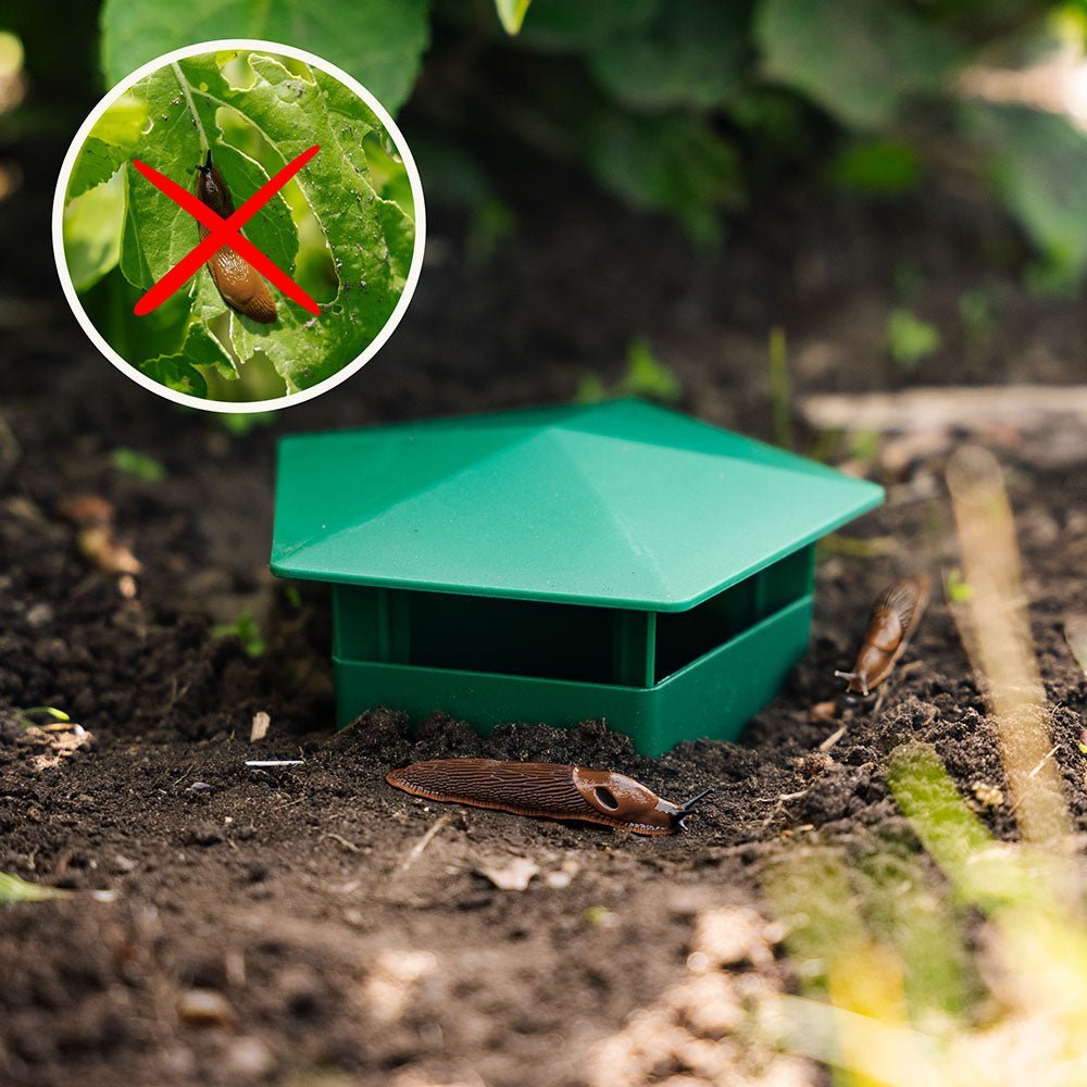 Sneglefelle, 2 pakning