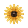 Blomsterfrø