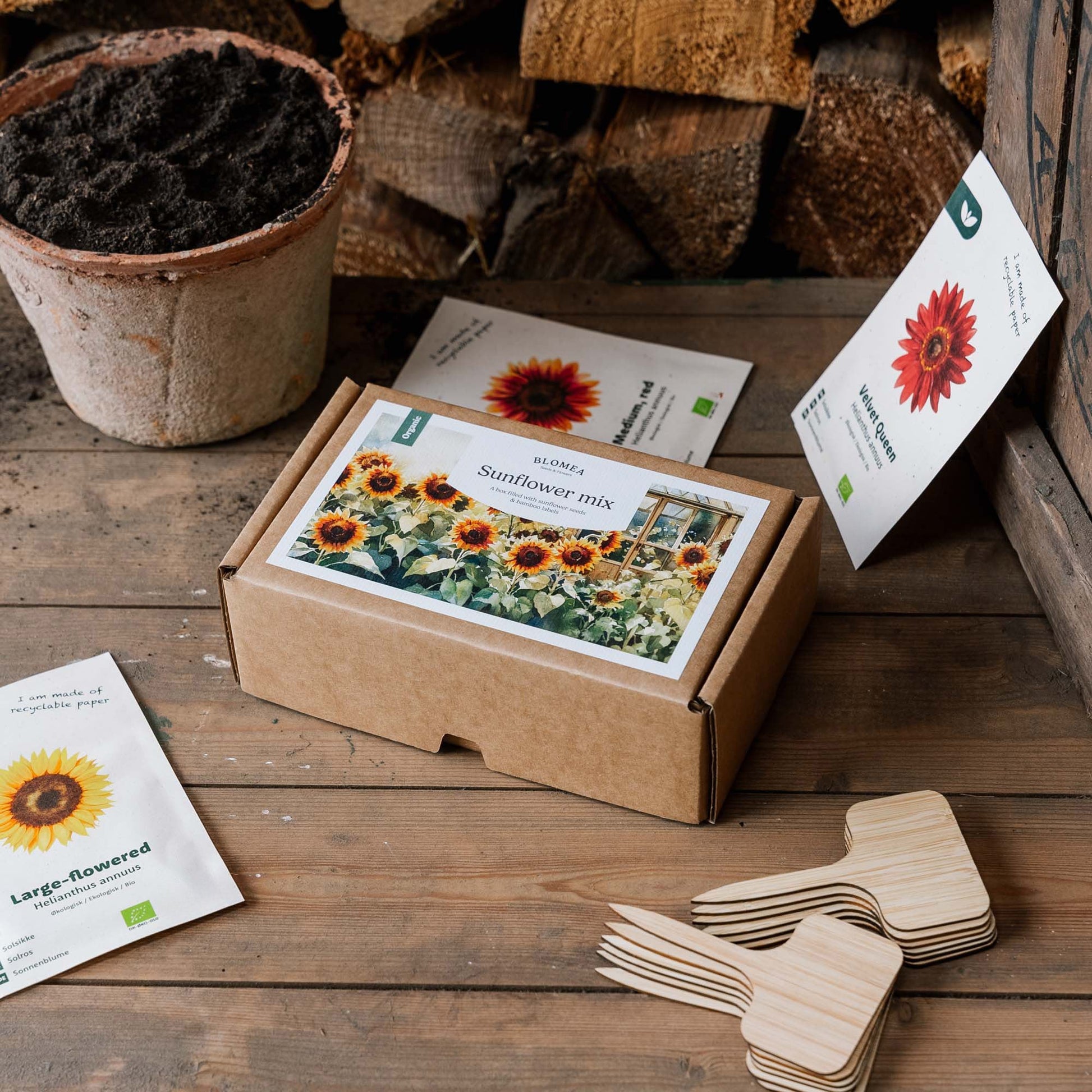 Solsikkepakken - 12 poser økologiske frø