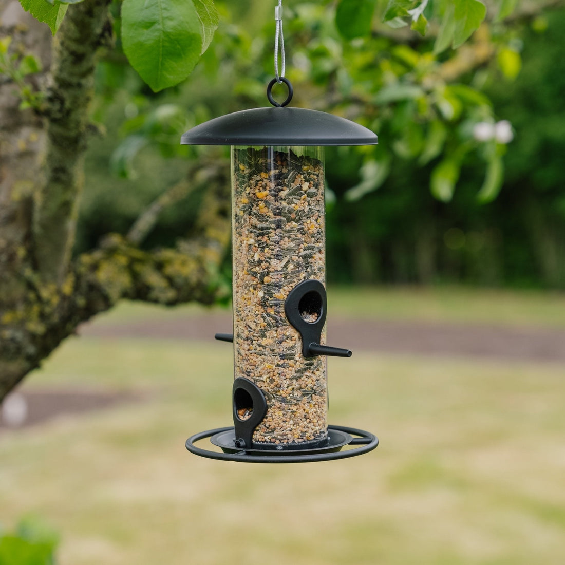 Sort frøfôrautomat, Ø: 14 cm H: 26 cm