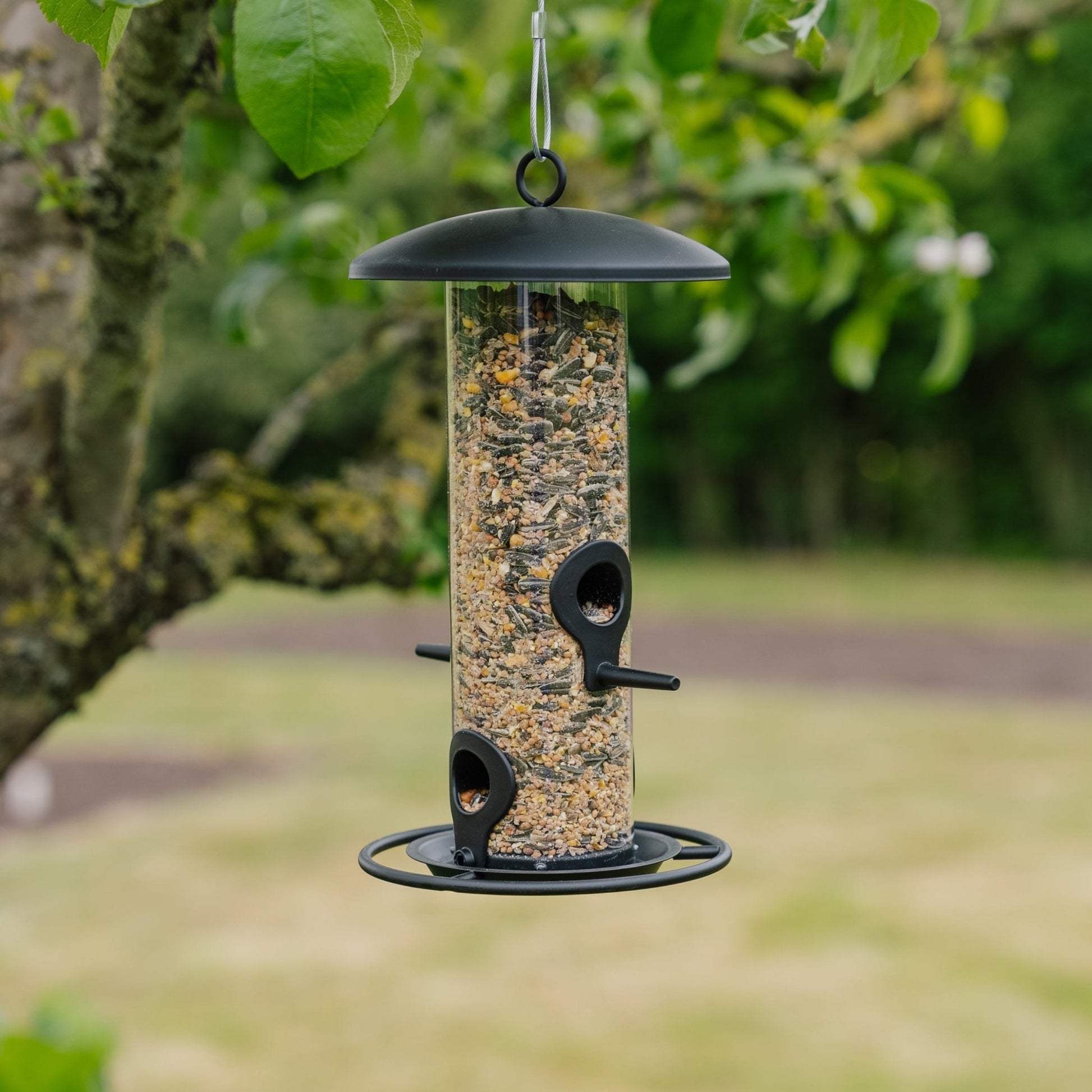 Sort frøfôrautomat, Ø: 14 cm H: 26 cm