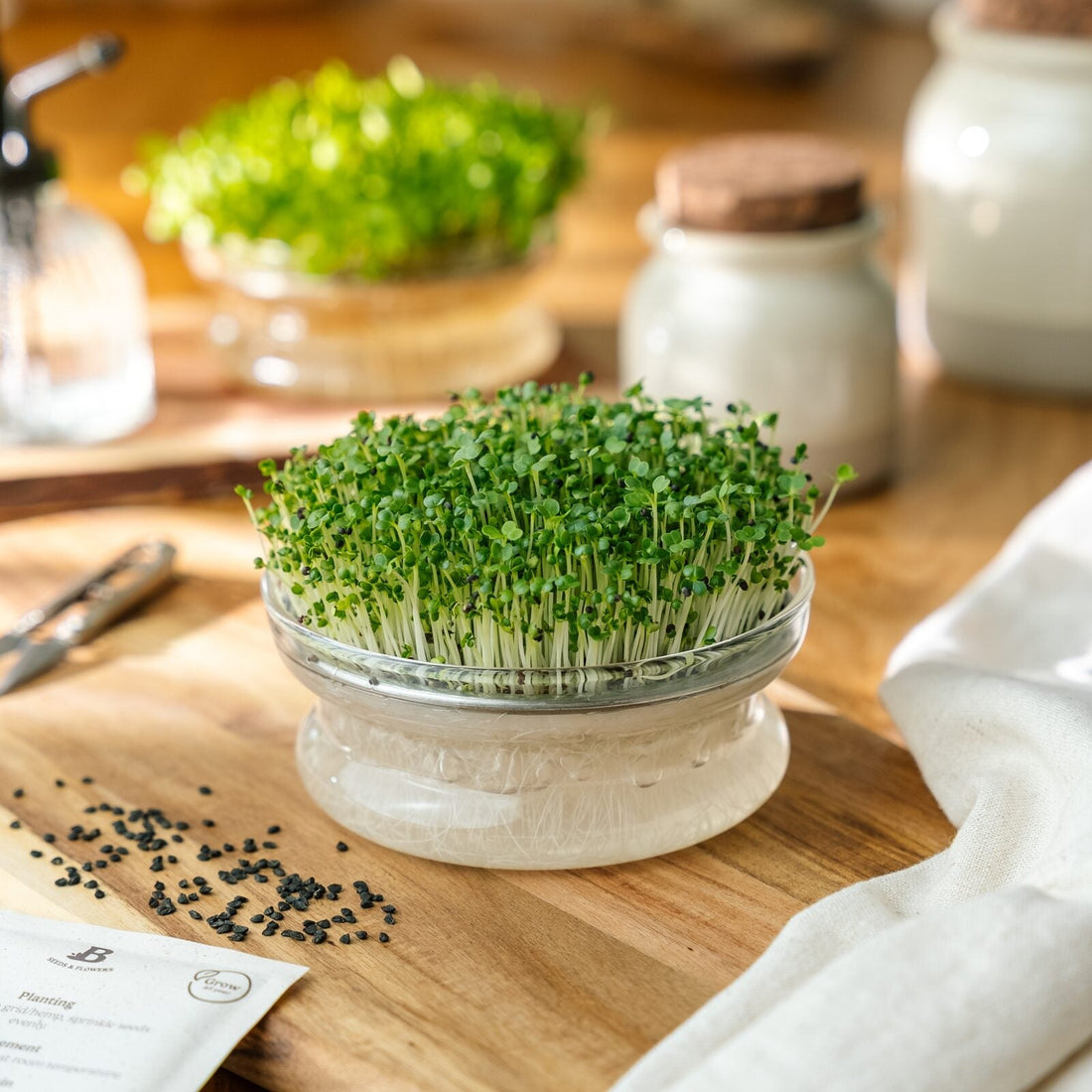 Spirefrø 'Hvit pak choi' - 6500 Økologiske frø