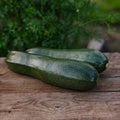 Squash frø 'Zucchini' - 6 Økologiske Frø