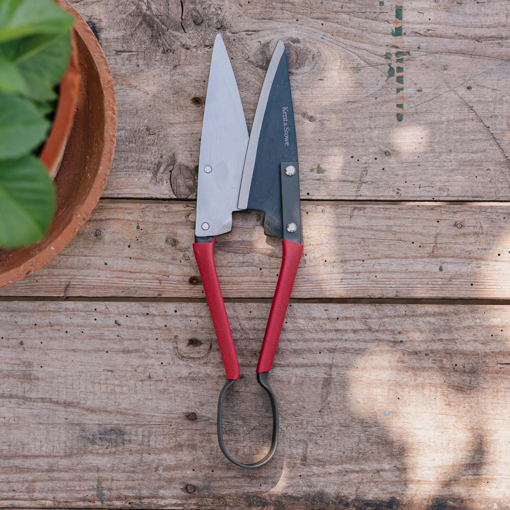 Store topiary sakser