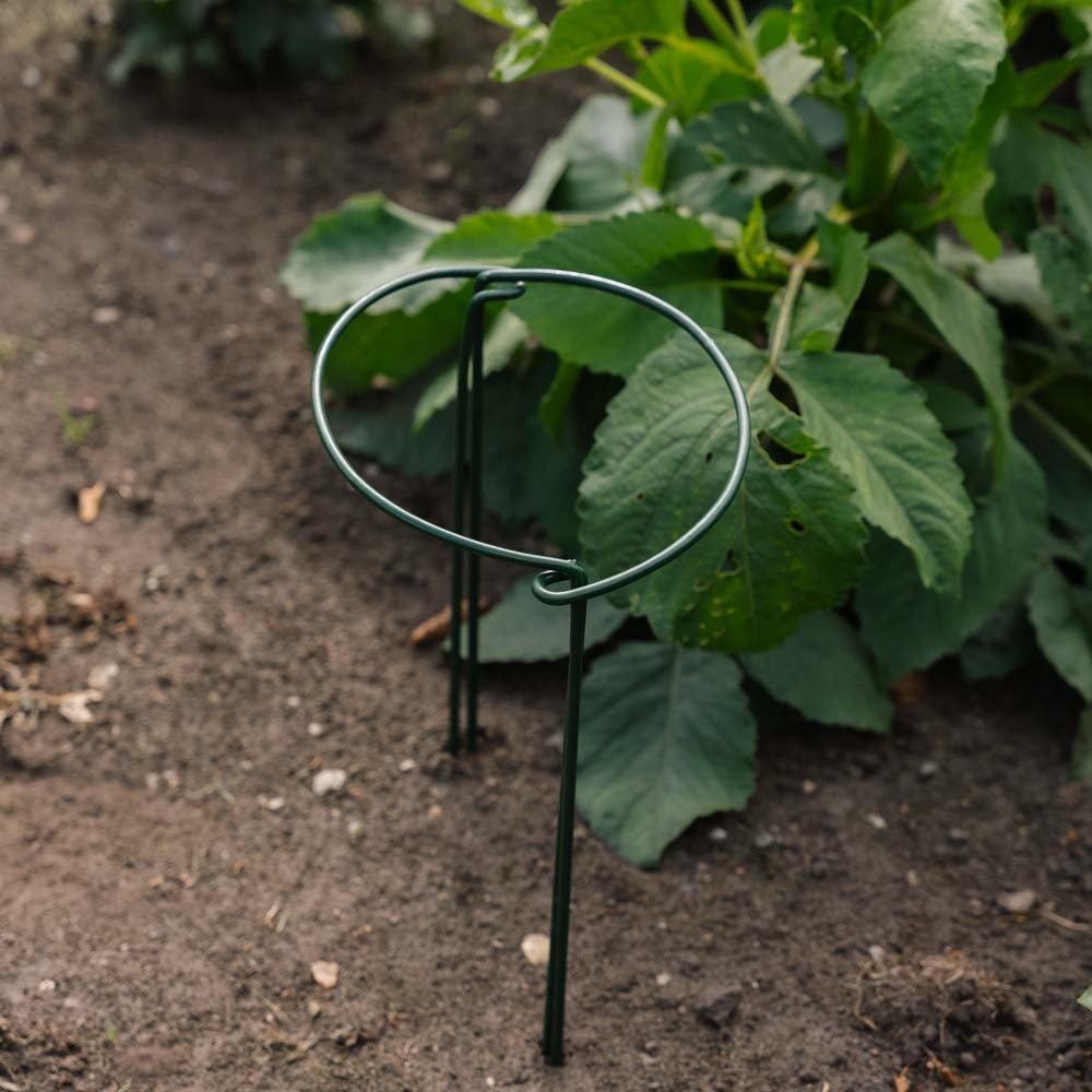 Støttebøyle til planter, B: 20 cm H: 35 cm
