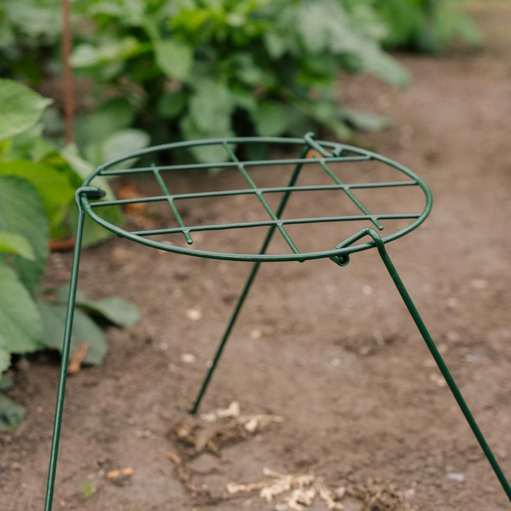 Støttenett til planter, B: 30 cm H: 45 cm