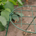 Støttenett til planter, B: 30 cm H: 45 cm