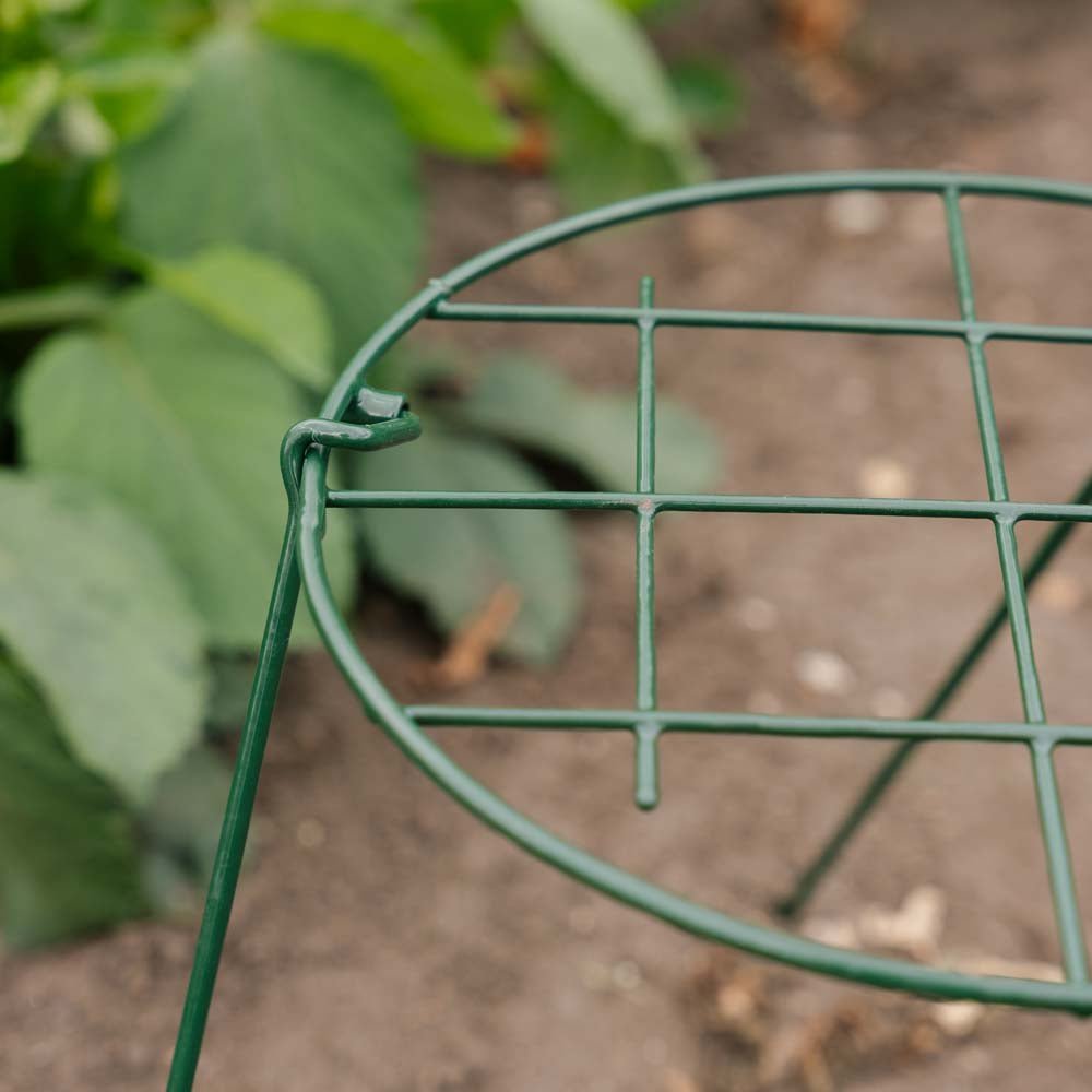 Støttenett til planter, B: 30 cm H: 45 cm