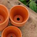 Terracottapotter 5/6 cm, 9 stk.