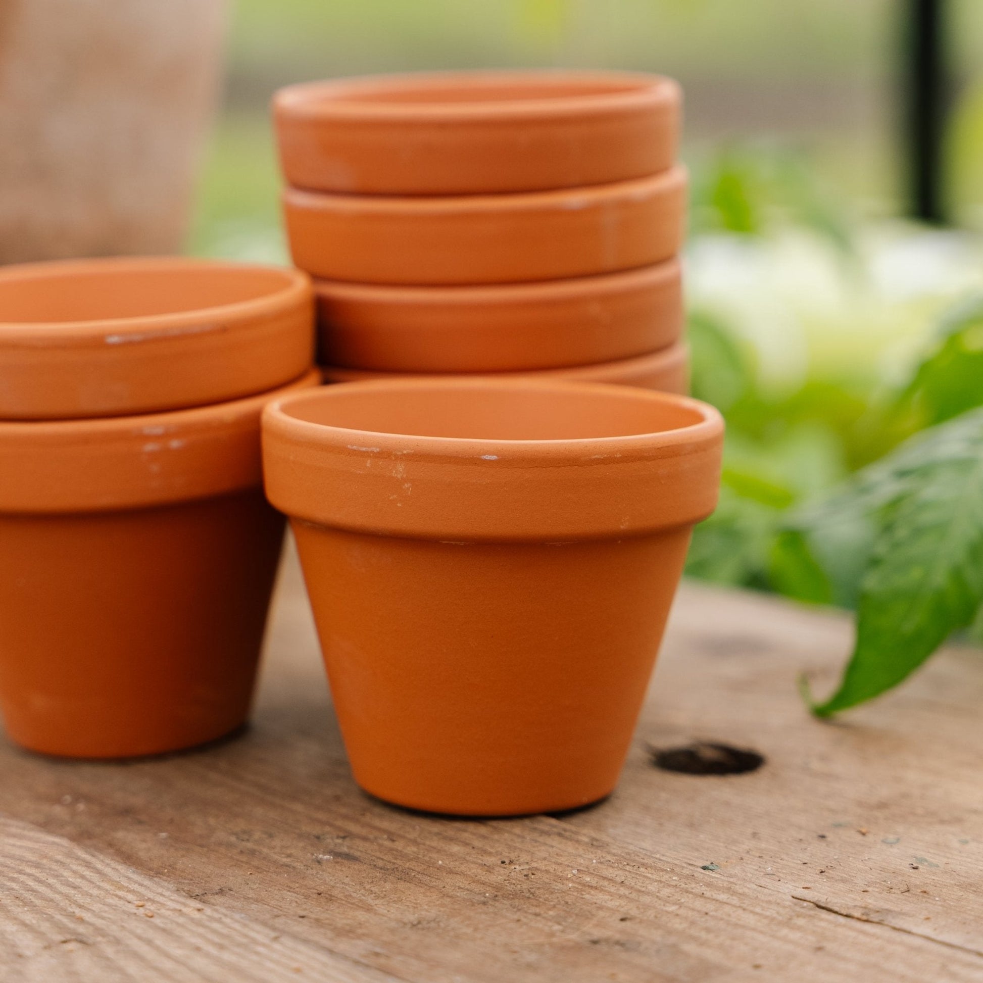 Terrakottapotter 7/8 cm, 7 stk.