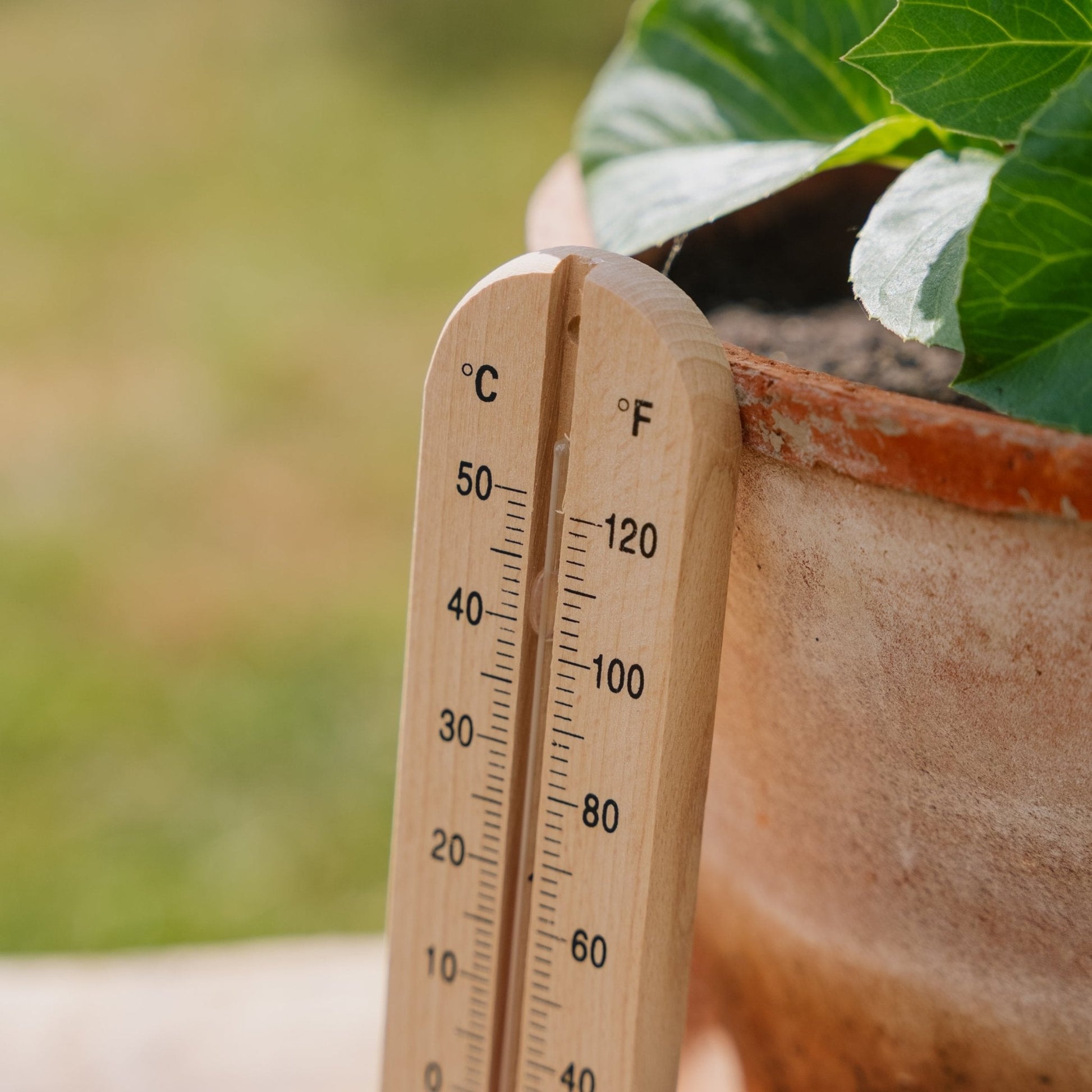 Trettermometer i tre