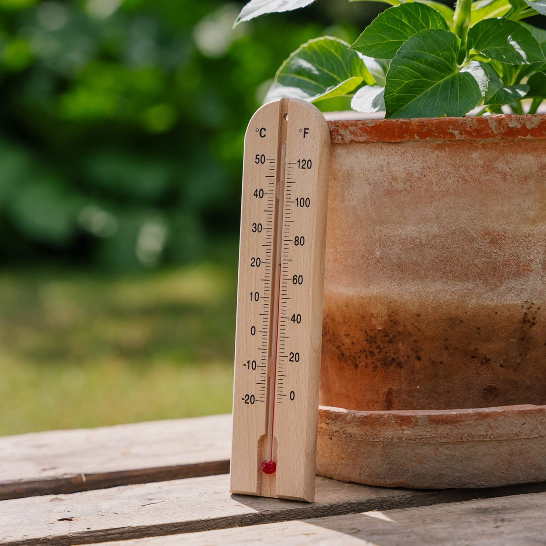 Trettermometer i tre