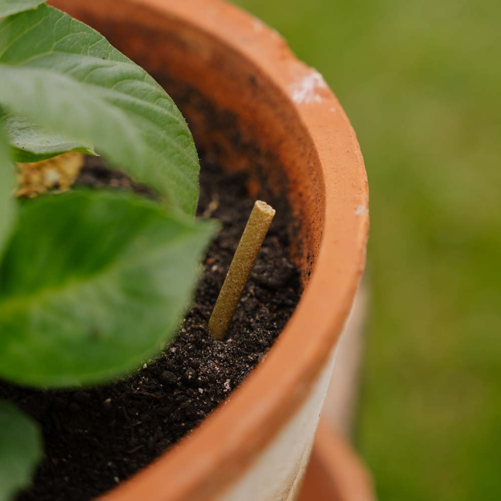 Universale gjødselpinner 30 stk.